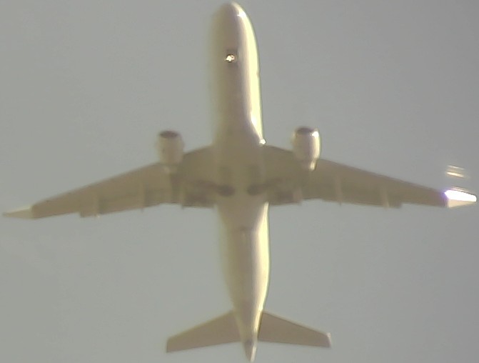Airplane Picture