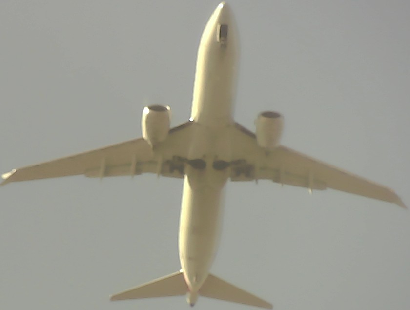 Airplane Picture
