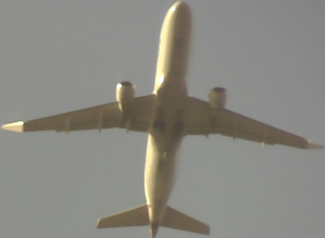 Airplane Picture