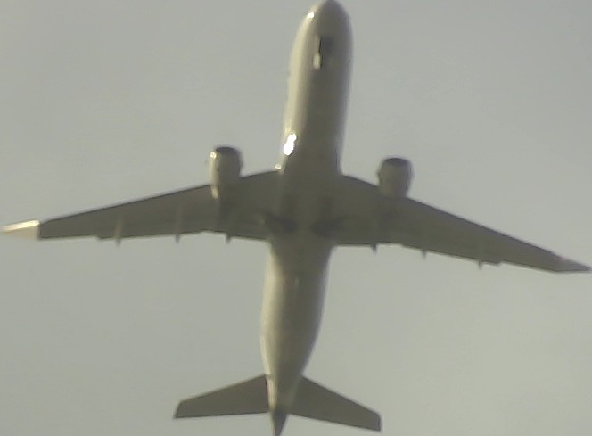 Airplane Picture