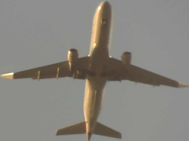 Airplane Picture