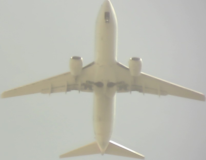 Airplane Picture