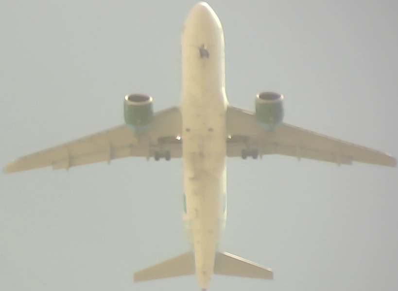 Airplane Picture