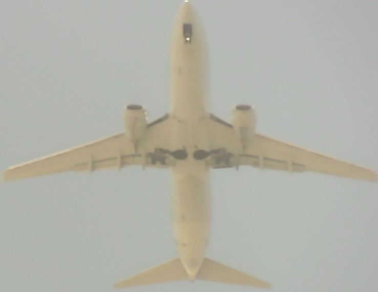 Airplane Picture