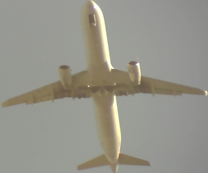 Airplane Picture