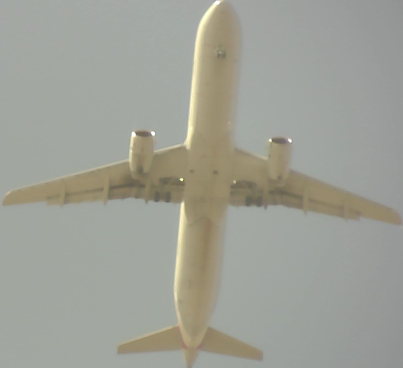 Airplane Picture