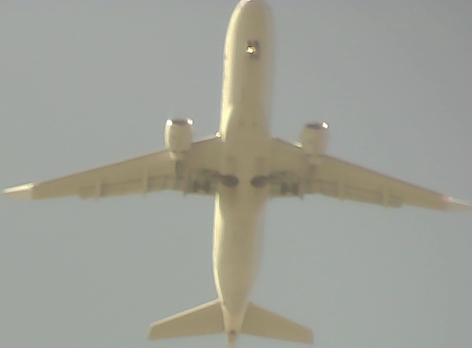 Airplane Picture