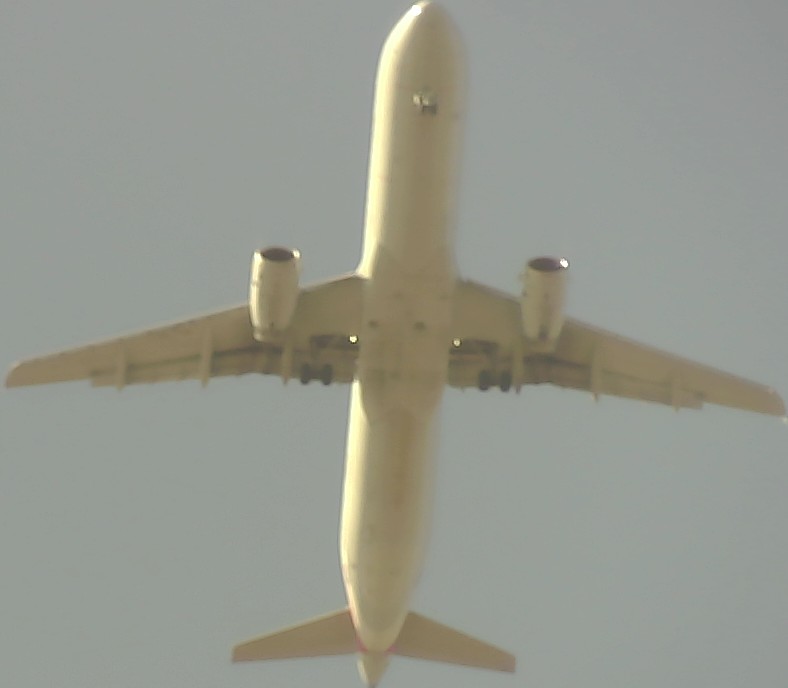 Airplane Picture