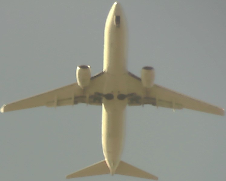 Airplane Picture
