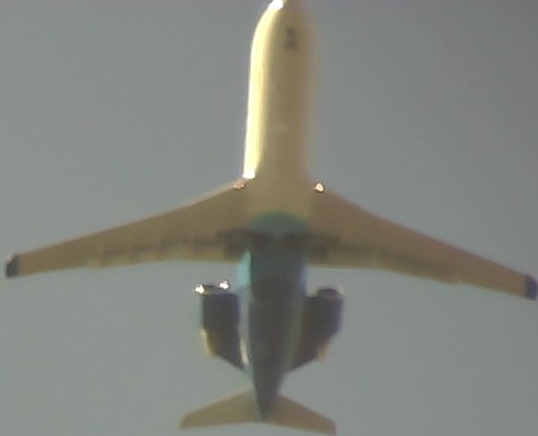 Airplane Picture