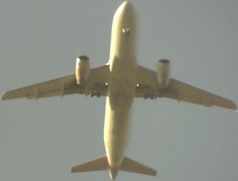 Airplane Picture