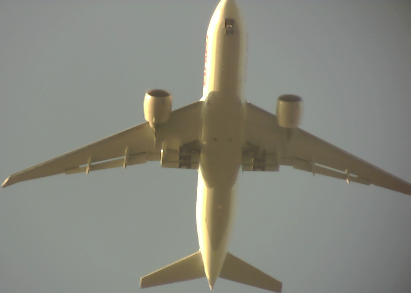 Airplane Picture