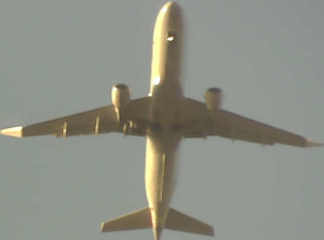 Airplane Picture