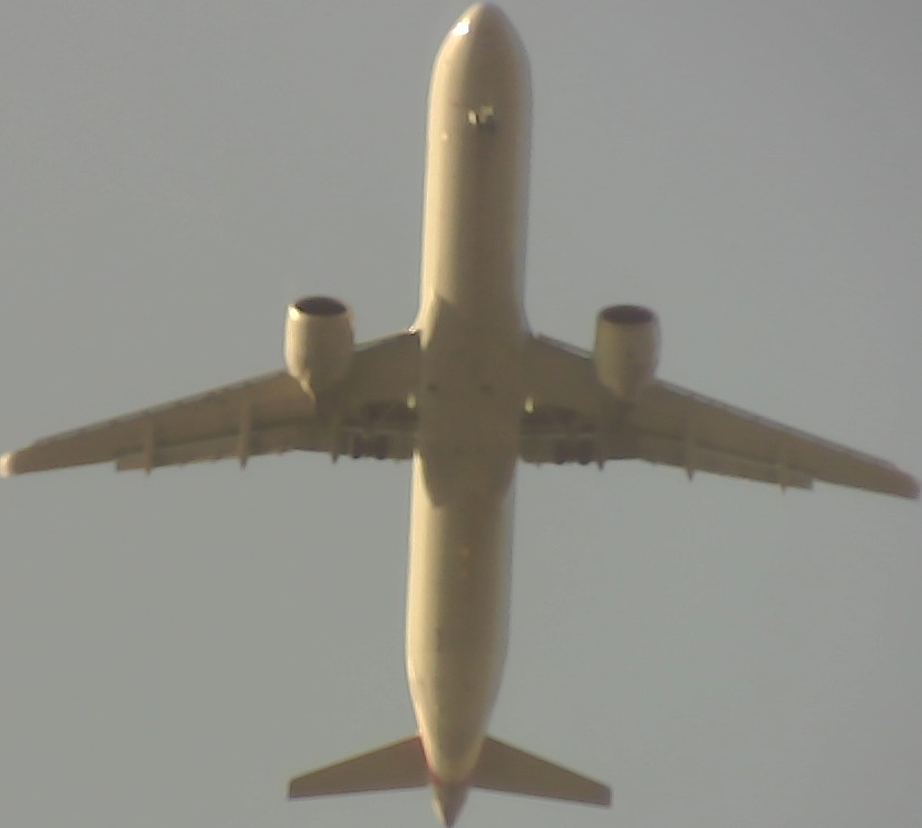 Airplane Picture