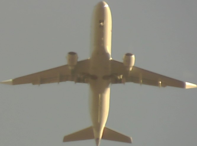 Airplane Picture