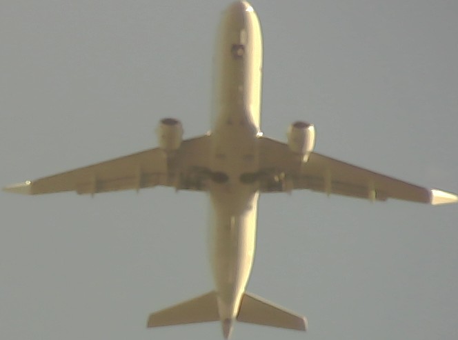 Airplane Picture
