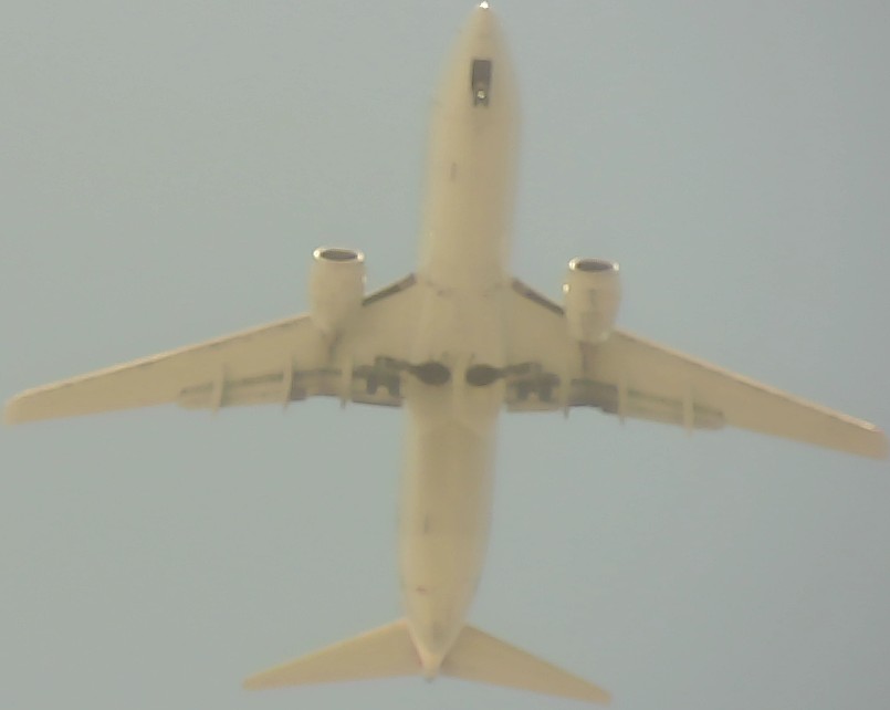 Airplane Picture