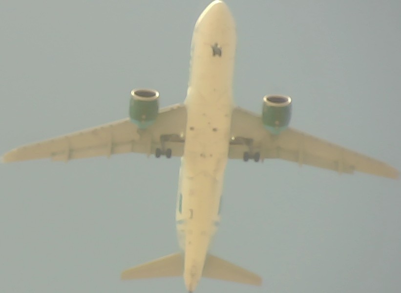 Airplane Picture