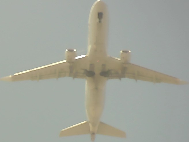 Airplane Picture