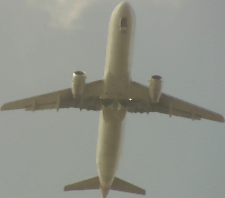 Airplane Picture