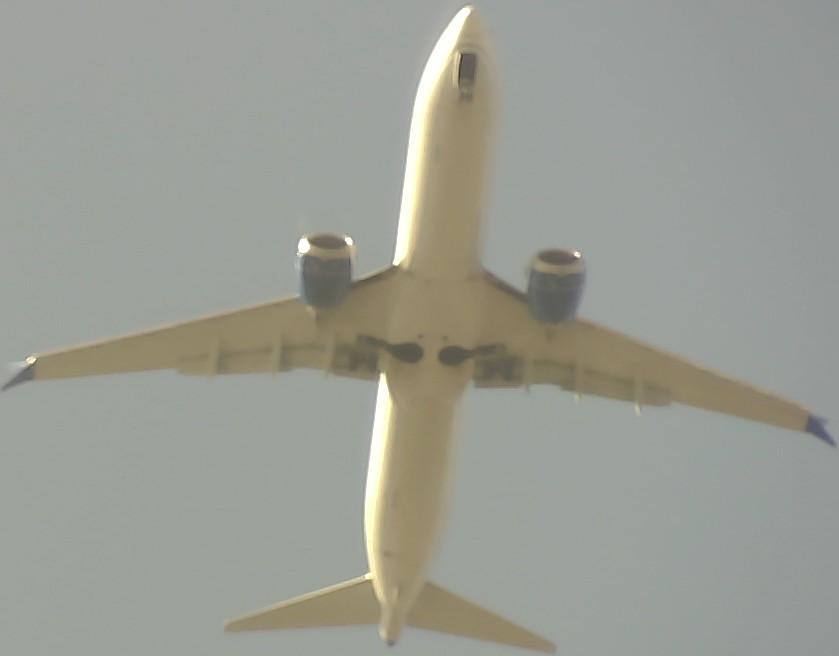 Airplane Picture