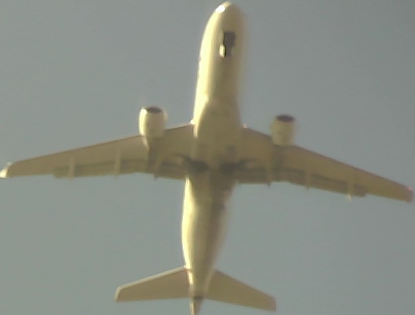 Airplane Picture