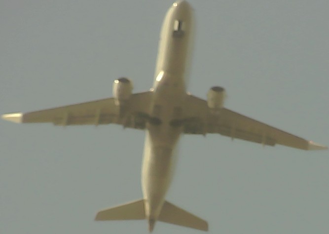 Airplane Picture
