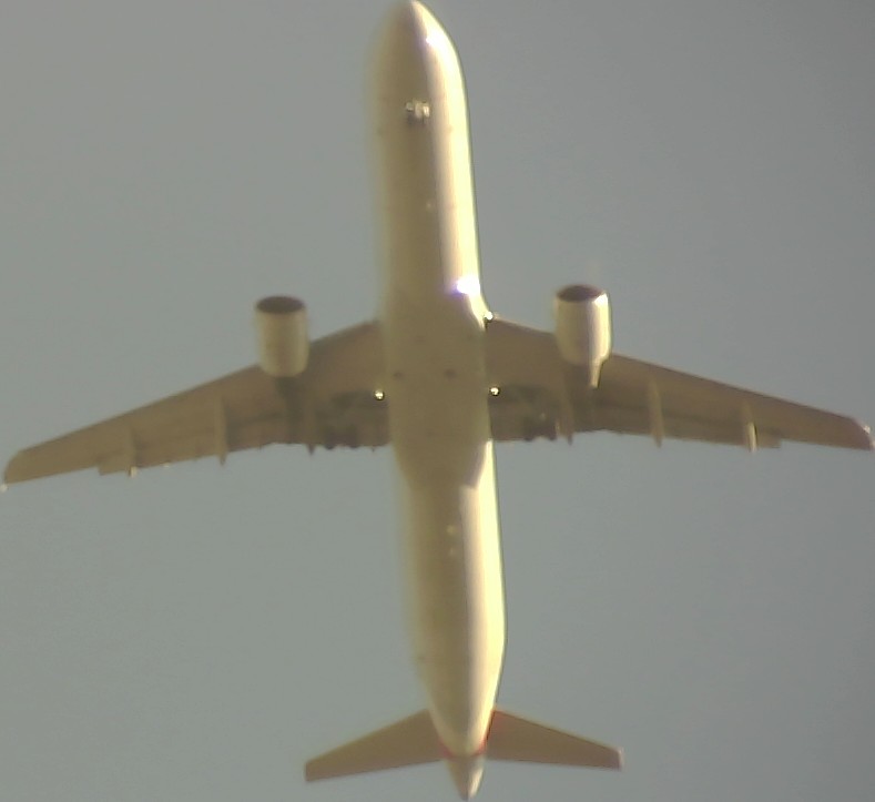 Airplane Picture