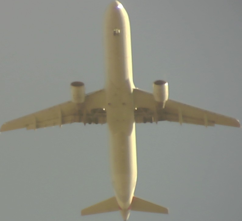 Airplane Picture