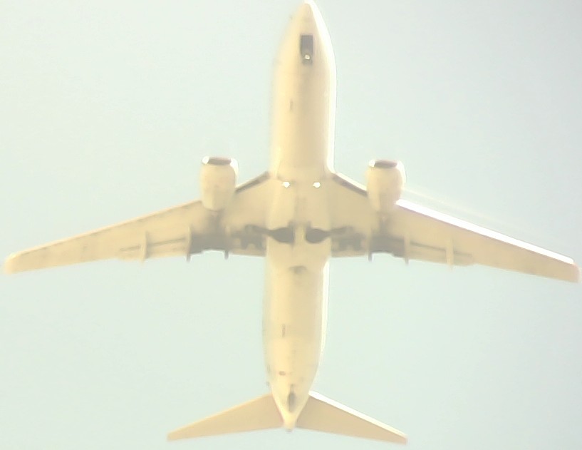 Airplane Picture