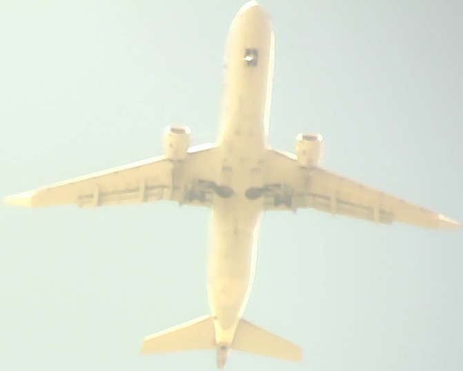 Airplane Picture