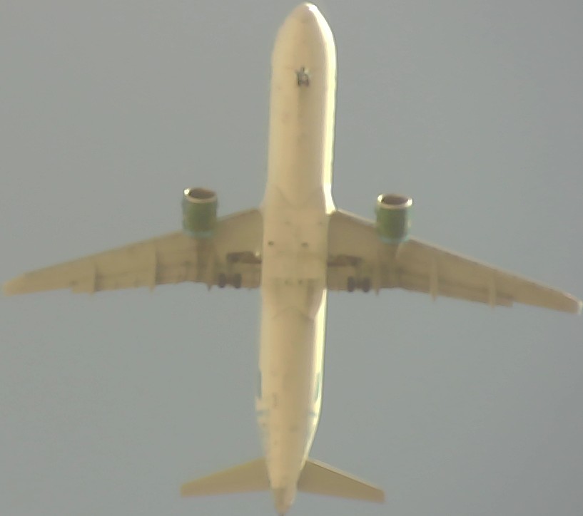 Airplane Picture