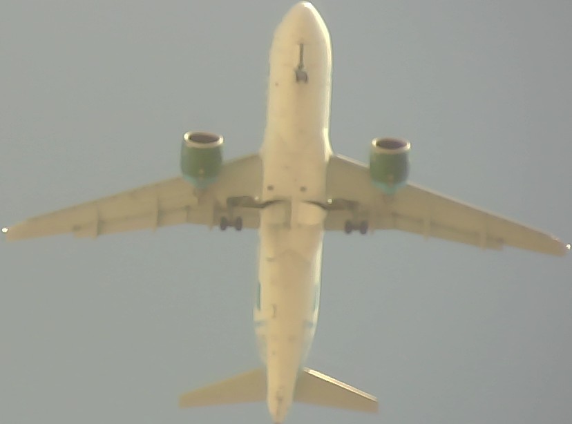 Airplane Picture