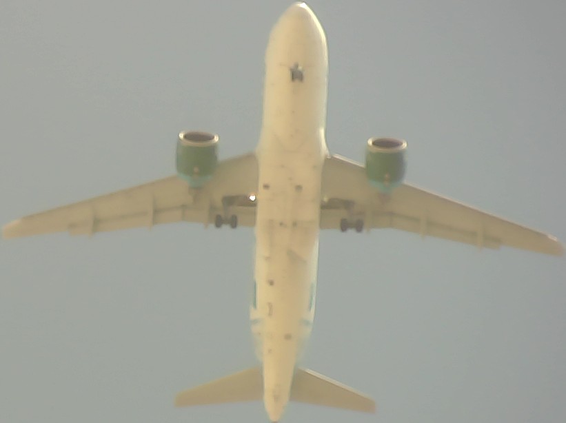 Airplane Picture