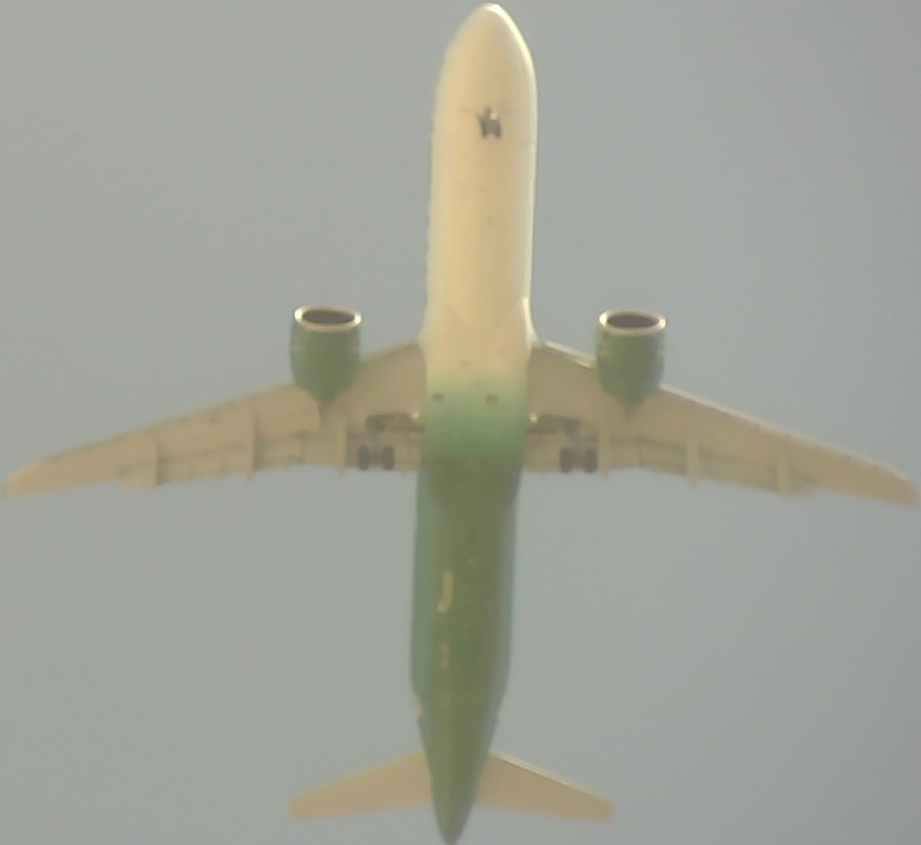 Airplane Picture