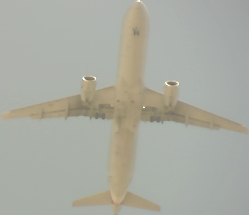 Airplane Picture