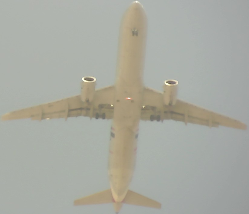 Airplane Picture