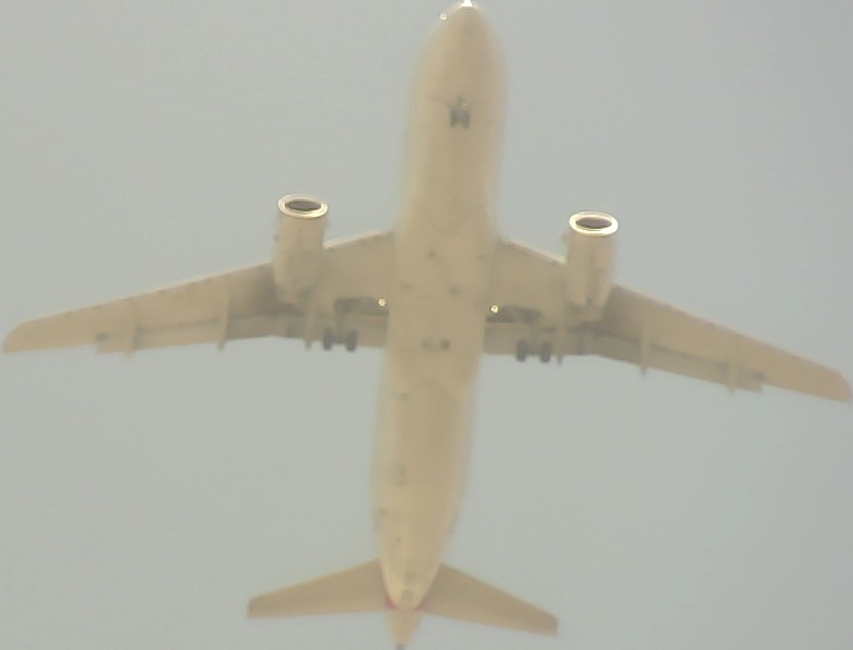 Airplane Picture