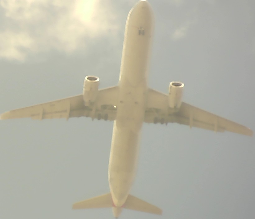 Airplane Picture
