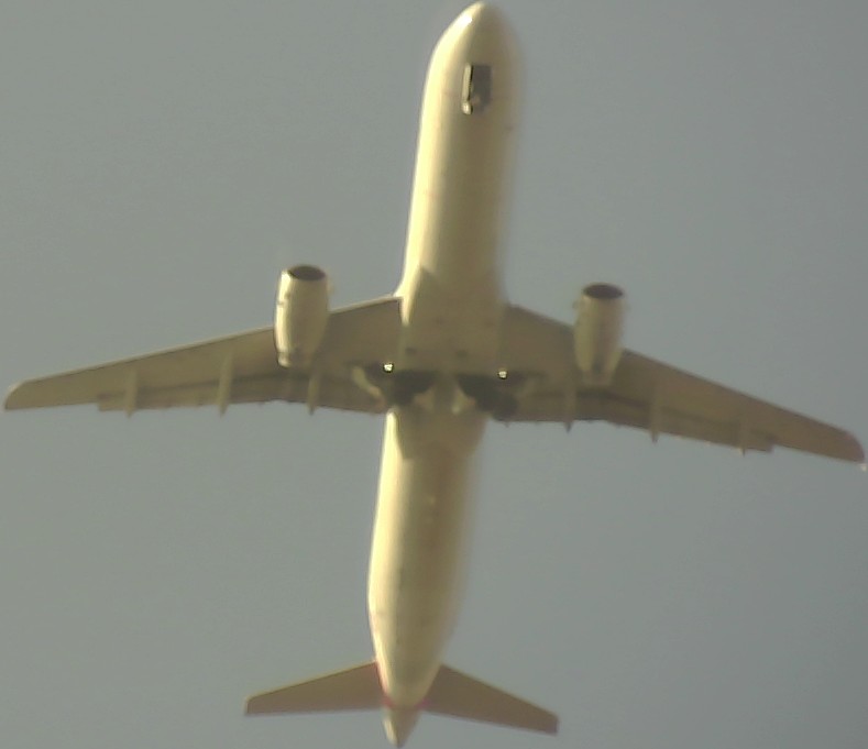 Airplane Picture