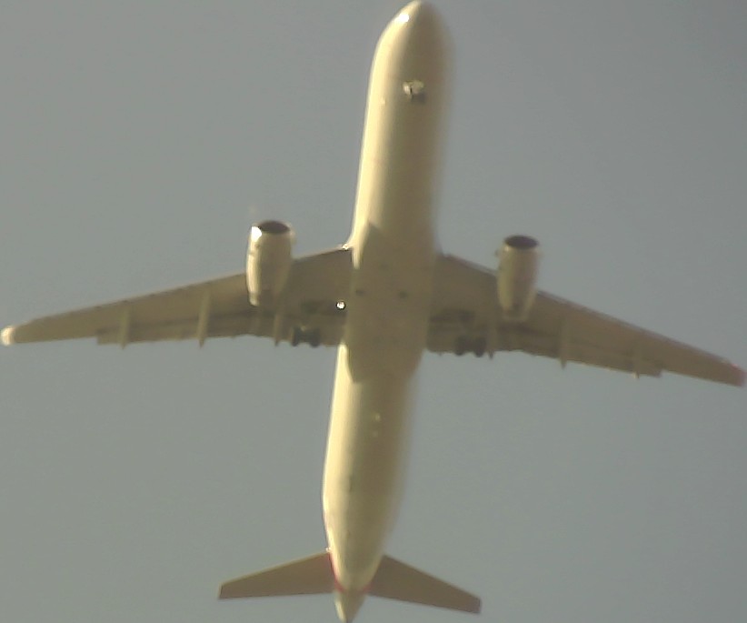 Airplane Picture