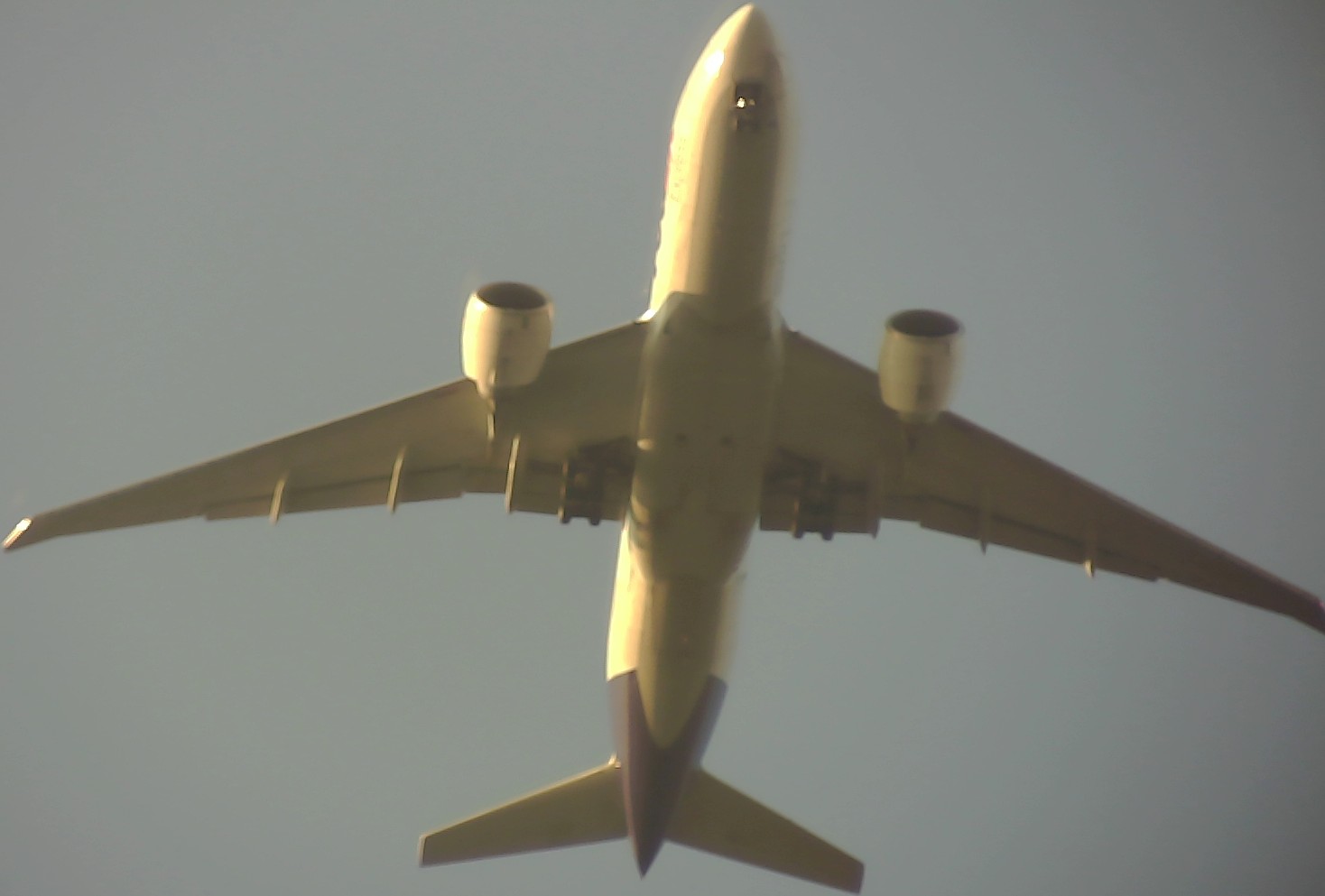 Airplane Picture