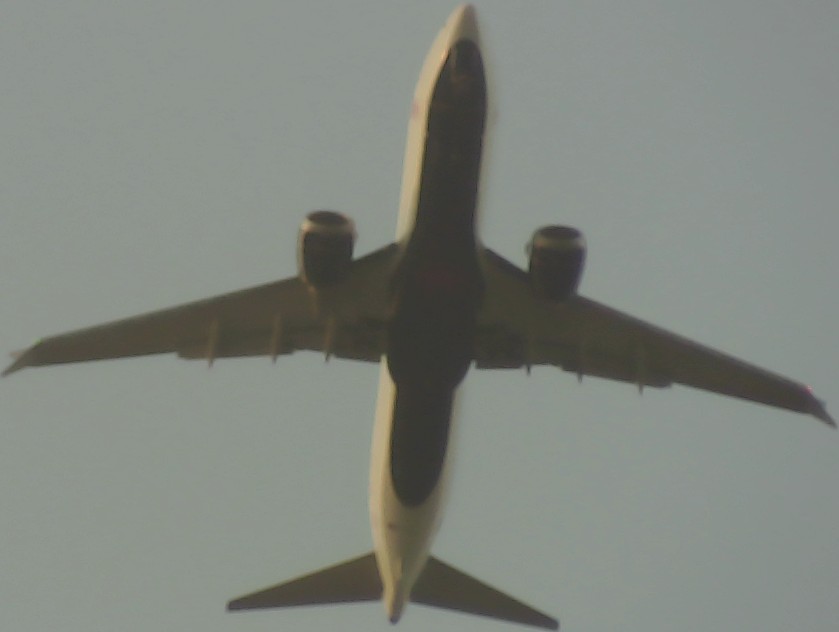 Airplane Picture
