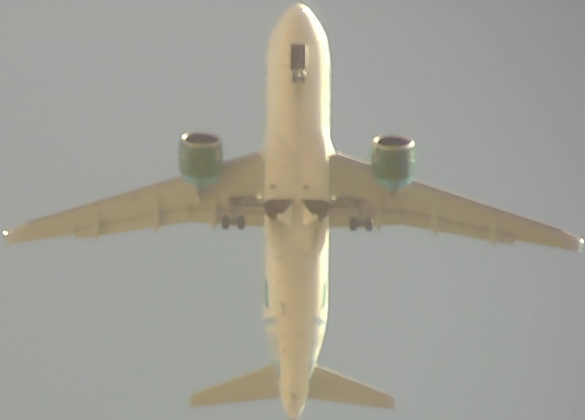 Airplane Picture