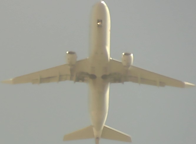 Airplane Picture