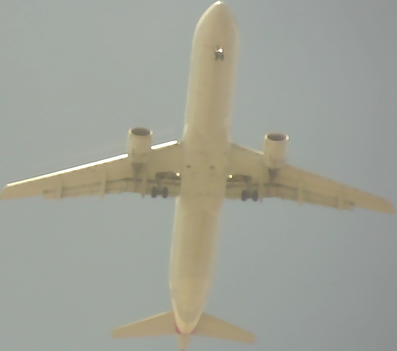 Airplane Picture