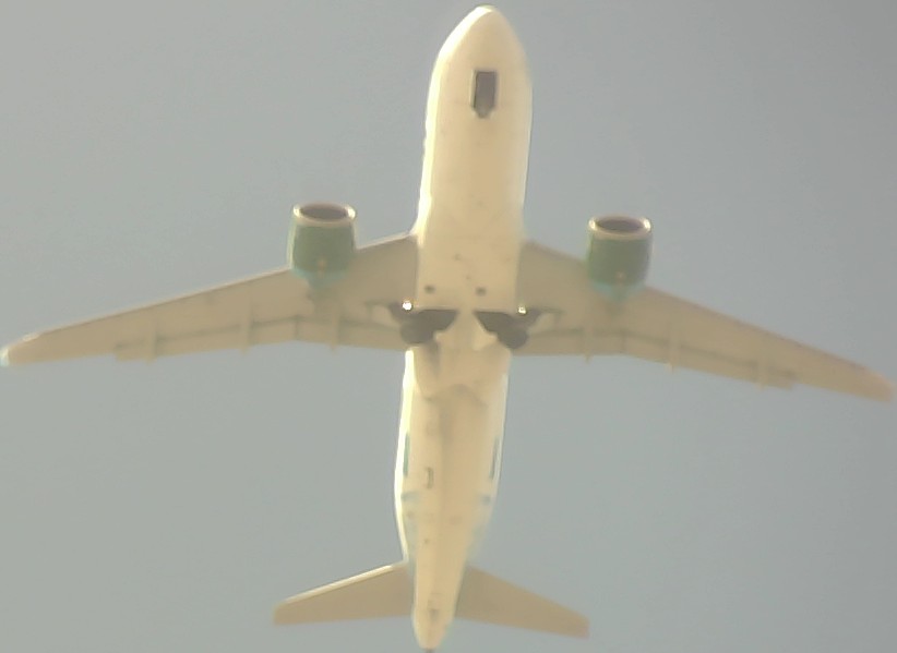 Airplane Picture