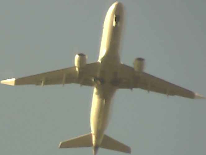 Airplane Picture
