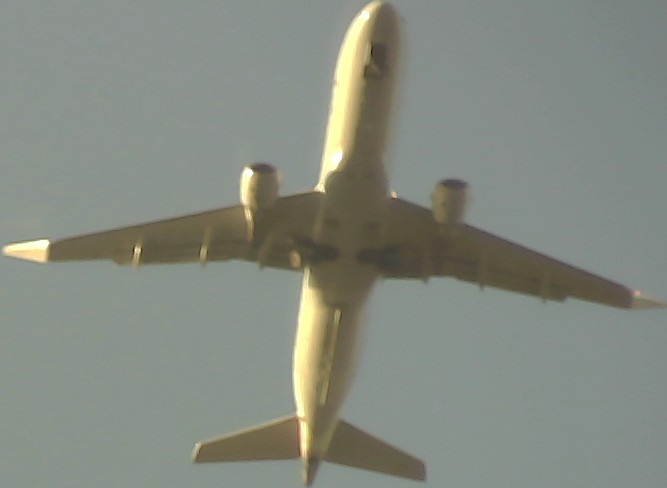 Airplane Picture