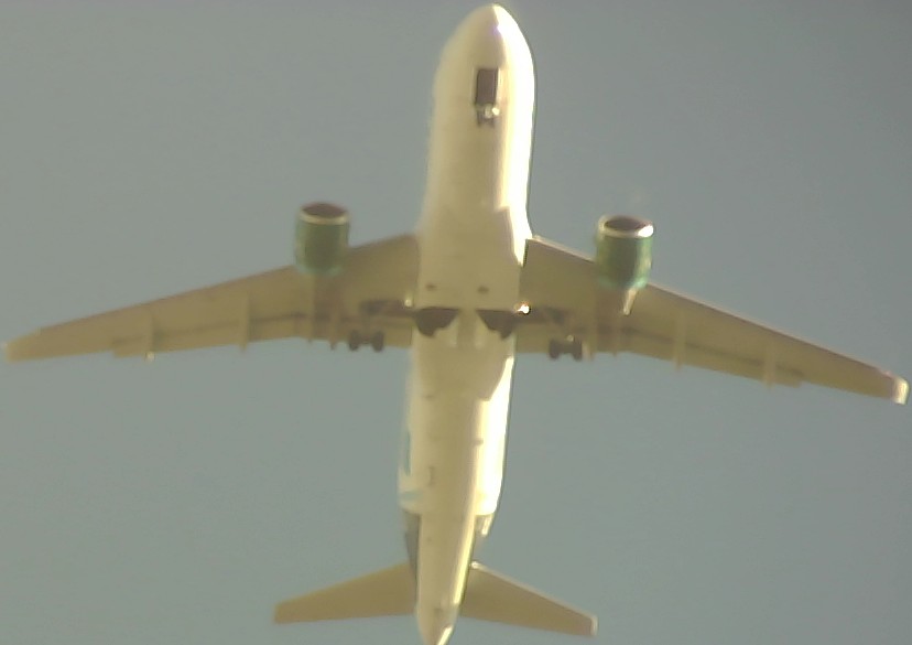 Airplane Picture